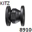 8910 - Cast Iron Silent Check Valve Class 125 (FLG) - ITM