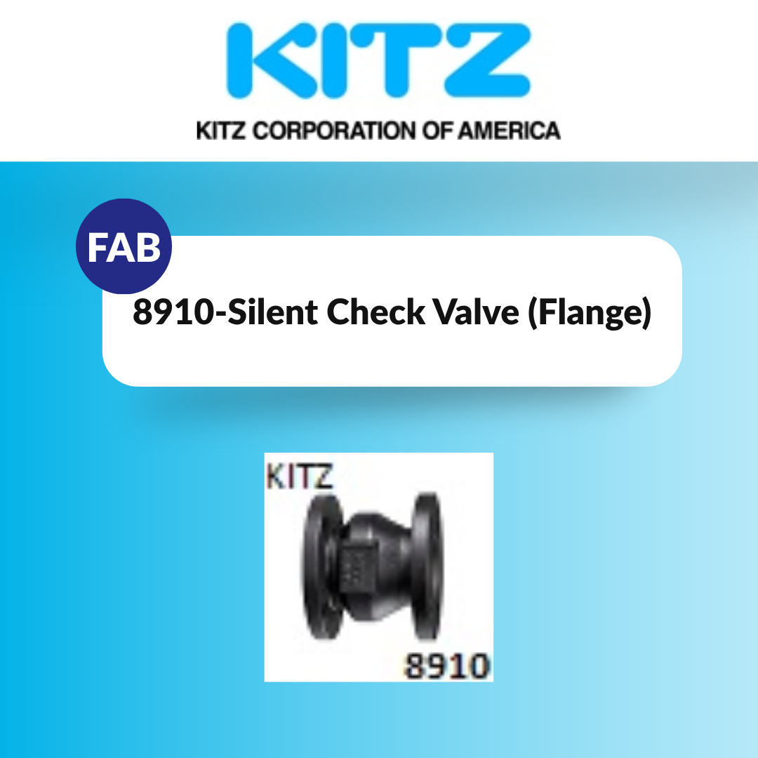 8910 - Cast Iron Silent Check Valve Class 125 (FLG) - ITM