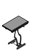 Display Mount Chief PDR Series