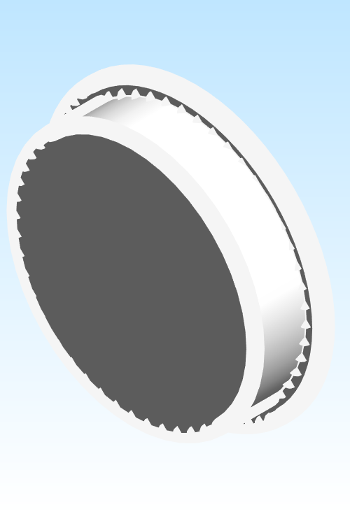 Fitting Plug Intellidisc Westlake Spg PVC DWV D Series